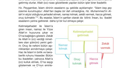 4. Sınıf Meb Yayınları Din Kültürü Ve Ahlak Bilgisi Ders Kitabı Sayfa 41 Cevapları