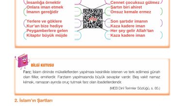 4. Sınıf Meb Yayınları Din Kültürü Ve Ahlak Bilgisi Ders Kitabı Sayfa 40 Cevapları