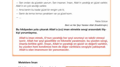 4. Sınıf Meb Yayınları Din Kültürü Ve Ahlak Bilgisi Ders Kitabı Sayfa 37 Cevapları