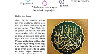 4. Sınıf Meb Yayınları Din Kültürü Ve Ahlak Bilgisi Ders Kitabı Sayfa 35 Cevapları