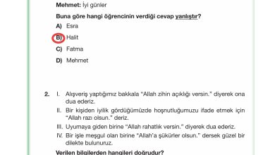 4. Sınıf Meb Yayınları Din Kültürü Ve Ahlak Bilgisi Ders Kitabı Sayfa 29 Cevapları