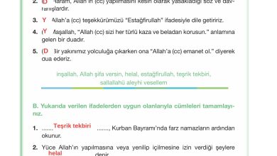 4. Sınıf Meb Yayınları Din Kültürü Ve Ahlak Bilgisi Ders Kitabı Sayfa 28 Cevapları