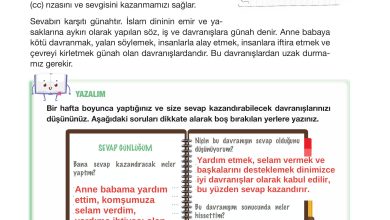 4. Sınıf Meb Yayınları Din Kültürü Ve Ahlak Bilgisi Ders Kitabı Sayfa 24 Cevapları