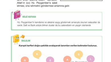 4. Sınıf Meb Yayınları Din Kültürü Ve Ahlak Bilgisi Ders Kitabı Sayfa 23 Cevapları