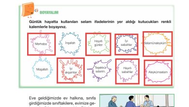 4. Sınıf Meb Yayınları Din Kültürü Ve Ahlak Bilgisi Ders Kitabı Sayfa 17 Cevapları