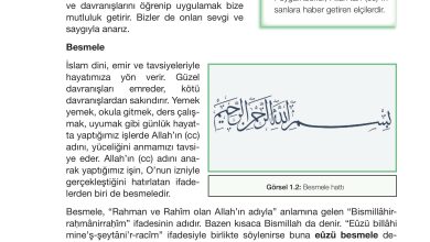 4. Sınıf Meb Yayınları Din Kültürü Ve Ahlak Bilgisi Ders Kitabı Sayfa 13 Cevapları