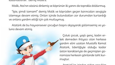 3. Sınıf Meb Yayınları Türkçe Ders Kitabı Sayfa 100 Cevapları