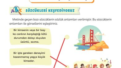 3. Sınıf Meb Yayınları Türkçe Ders Kitabı Sayfa 101 Cevapları