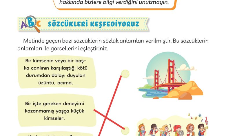 3. Sınıf Meb Yayınları Türkçe Ders Kitabı Sayfa 101 Cevapları