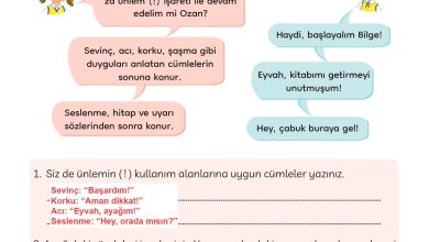 3. Sınıf Meb Yayınları Türkçe Ders Kitabı Sayfa 103 Cevapları