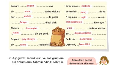 3. Sınıf Meb Yayınları Türkçe Ders Kitabı Sayfa 107 Cevapları