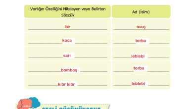 3. Sınıf Meb Yayınları Türkçe Ders Kitabı Sayfa 109 Cevapları