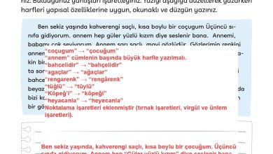 3. Sınıf Meb Yayınları Türkçe Ders Kitabı Sayfa 110 Cevapları