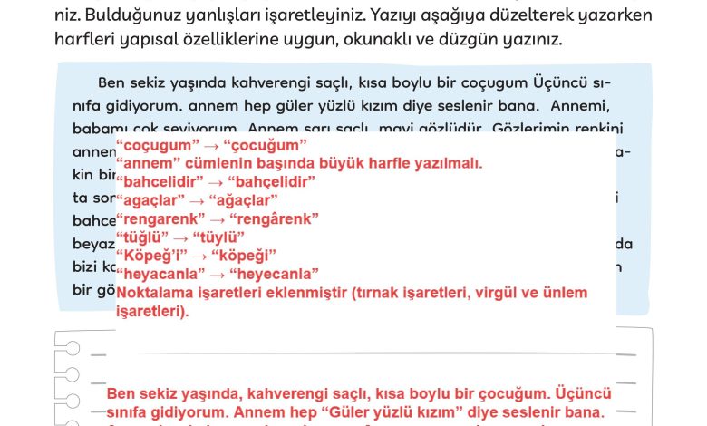 3. Sınıf Meb Yayınları Türkçe Ders Kitabı Sayfa 110 Cevapları