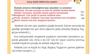 3. Sınıf Meb Yayınları Türkçe Ders Kitabı Sayfa 111 Cevapları