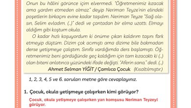 3. Sınıf Meb Yayınları Türkçe Ders Kitabı Sayfa 113 Cevapları