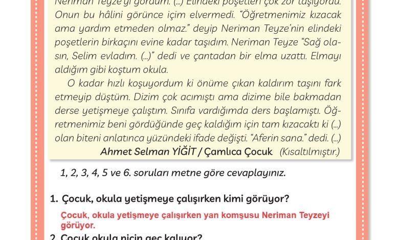 3. Sınıf Meb Yayınları Türkçe Ders Kitabı Sayfa 113 Cevapları