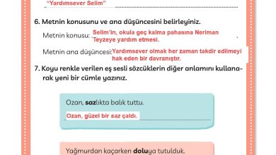 3. Sınıf Meb Yayınları Türkçe Ders Kitabı Sayfa 114 Cevapları