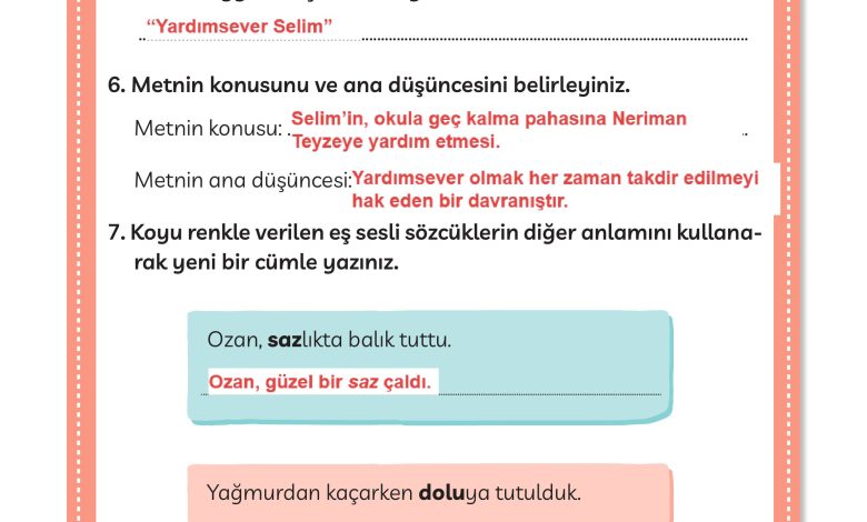 3. Sınıf Meb Yayınları Türkçe Ders Kitabı Sayfa 114 Cevapları