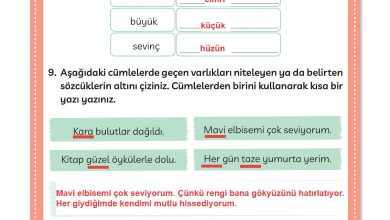 3. Sınıf Meb Yayınları Türkçe Ders Kitabı Sayfa 115 Cevapları