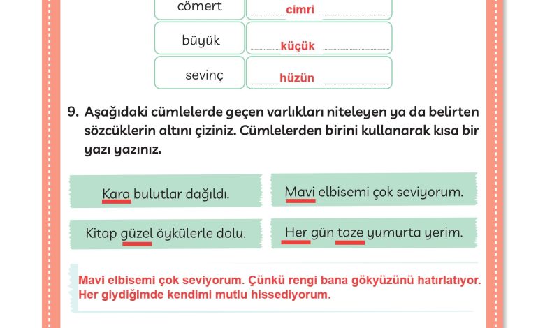 3. Sınıf Meb Yayınları Türkçe Ders Kitabı Sayfa 115 Cevapları