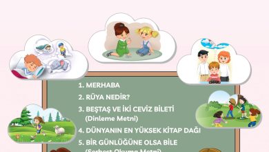 3. Sınıf Meb Yayınları Türkçe Ders Kitabı Sayfa 12 Cevapları