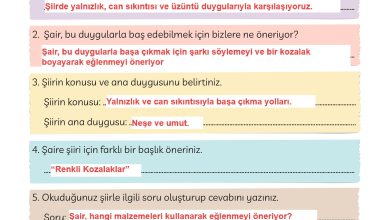 3. Sınıf Meb Yayınları Türkçe Ders Kitabı Sayfa 122 Cevapları