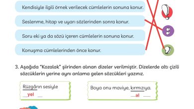 3. Sınıf Meb Yayınları Türkçe Ders Kitabı Sayfa 124 Cevapları