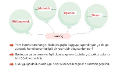 3. Sınıf Meb Yayınları Türkçe Ders Kitabı Sayfa 125 Cevapları