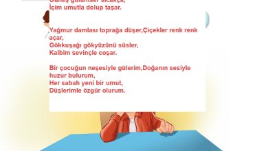 3. Sınıf Meb Yayınları Türkçe Ders Kitabı Sayfa 126 Cevapları