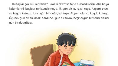 3. Sınıf Meb Yayınları Türkçe Ders Kitabı Sayfa 127 Cevapları