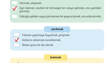 3. Sınıf Meb Yayınları Türkçe Ders Kitabı Sayfa 129 Cevapları