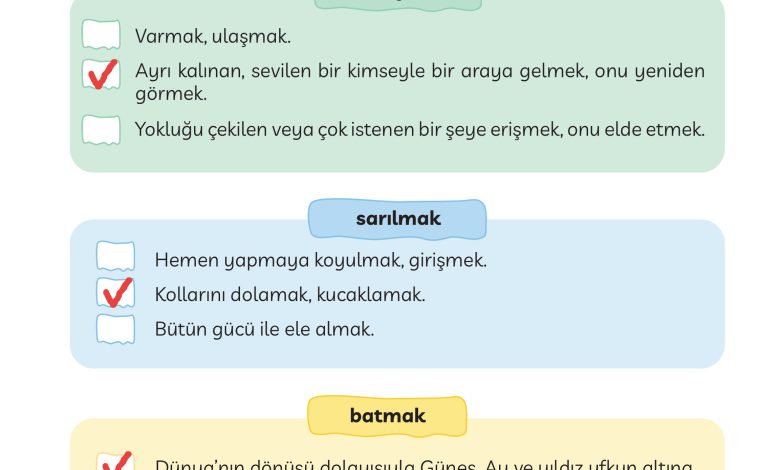 3. Sınıf Meb Yayınları Türkçe Ders Kitabı Sayfa 129 Cevapları