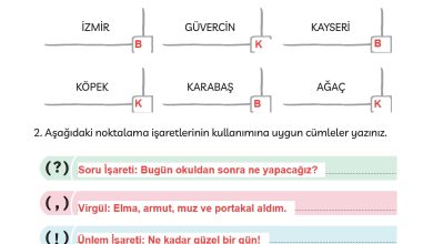 3. Sınıf Meb Yayınları Türkçe Ders Kitabı Sayfa 131 Cevapları