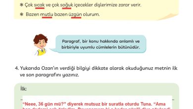 3. Sınıf Meb Yayınları Türkçe Ders Kitabı Sayfa 132 Cevapları