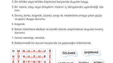 3. Sınıf Meb Yayınları Türkçe Ders Kitabı Sayfa 138 Cevapları