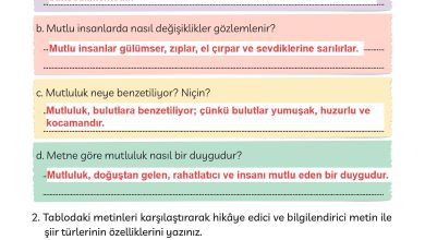 3. Sınıf Meb Yayınları Türkçe Ders Kitabı Sayfa 139 Cevapları