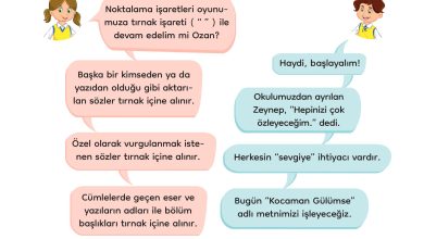 3. Sınıf Meb Yayınları Türkçe Ders Kitabı Sayfa 140 Cevapları