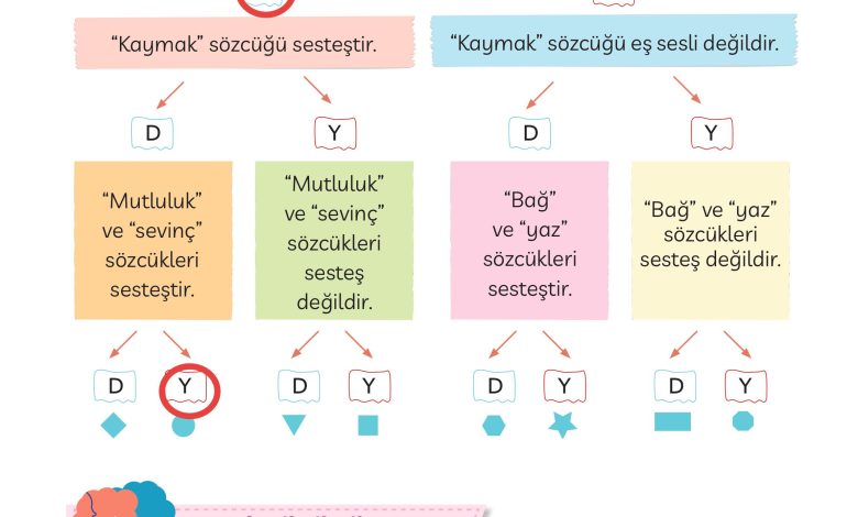 3. Sınıf Meb Yayınları Türkçe Ders Kitabı Sayfa 142 Cevapları