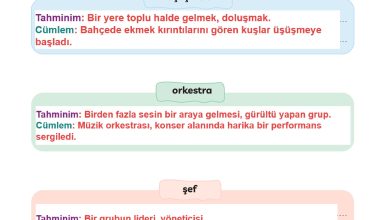 3. Sınıf Meb Yayınları Türkçe Ders Kitabı Sayfa 145 Cevapları