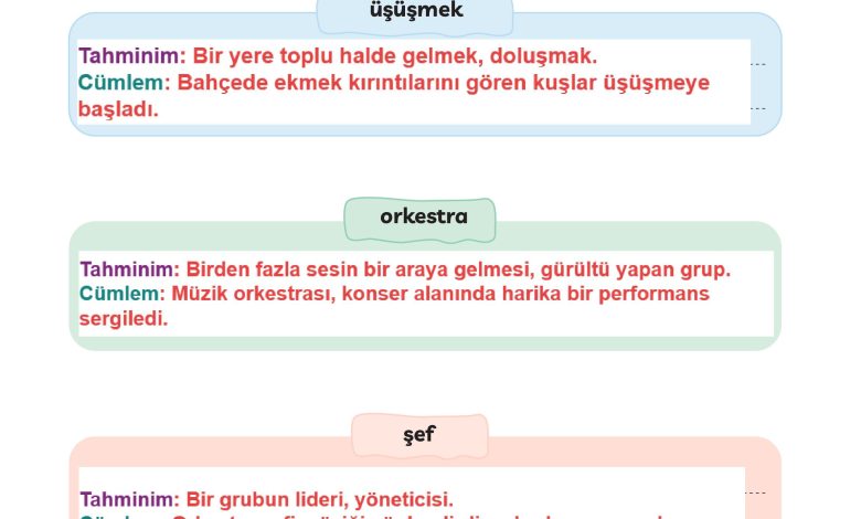 3. Sınıf Meb Yayınları Türkçe Ders Kitabı Sayfa 145 Cevapları