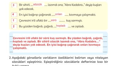 3. Sınıf Meb Yayınları Türkçe Ders Kitabı Sayfa 147 Cevapları