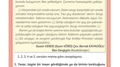 3. Sınıf Meb Yayınları Türkçe Ders Kitabı Sayfa 151 Cevapları