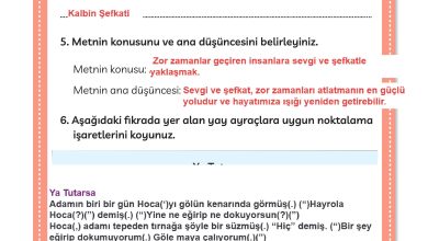 3. Sınıf Meb Yayınları Türkçe Ders Kitabı Sayfa 152 Cevapları