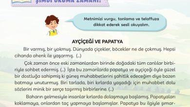 3. Sınıf Meb Yayınları Türkçe Ders Kitabı Sayfa 158 Cevapları