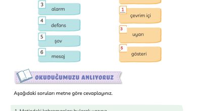 3. Sınıf Meb Yayınları Türkçe Ders Kitabı Sayfa 161 Cevapları