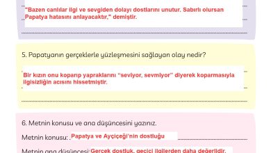 3. Sınıf Meb Yayınları Türkçe Ders Kitabı Sayfa 162 Cevapları