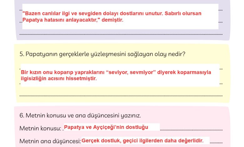 3. Sınıf Meb Yayınları Türkçe Ders Kitabı Sayfa 162 Cevapları