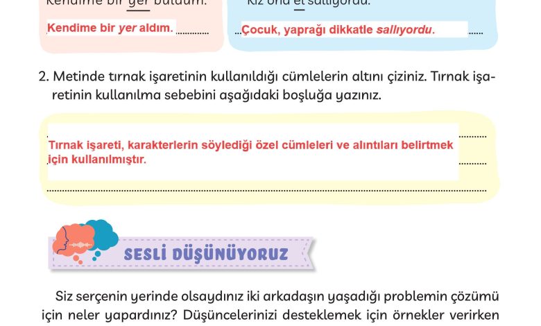 3. Sınıf Meb Yayınları Türkçe Ders Kitabı Sayfa 163 Cevapları