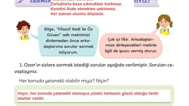 3. Sınıf Meb Yayınları Türkçe Ders Kitabı Sayfa 165 Cevapları